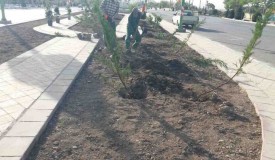کاشت درخت درمیدان شهدا 