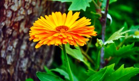 تصویر 3